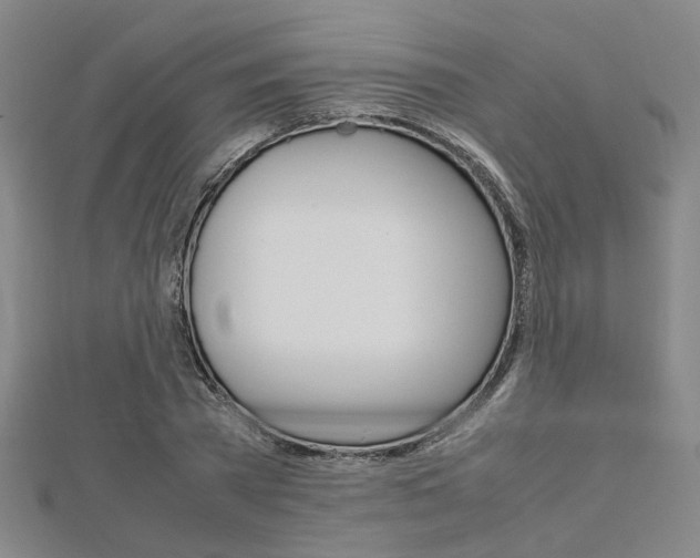 X0000112730785200908201012