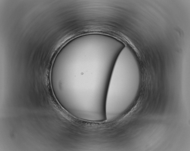 X0000112730786200908201012