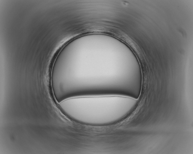 X0000112730787200908201012