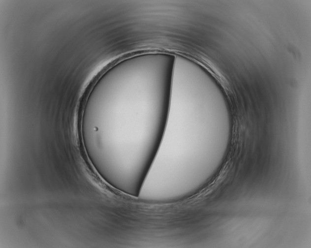 X0000112730788200908201012
