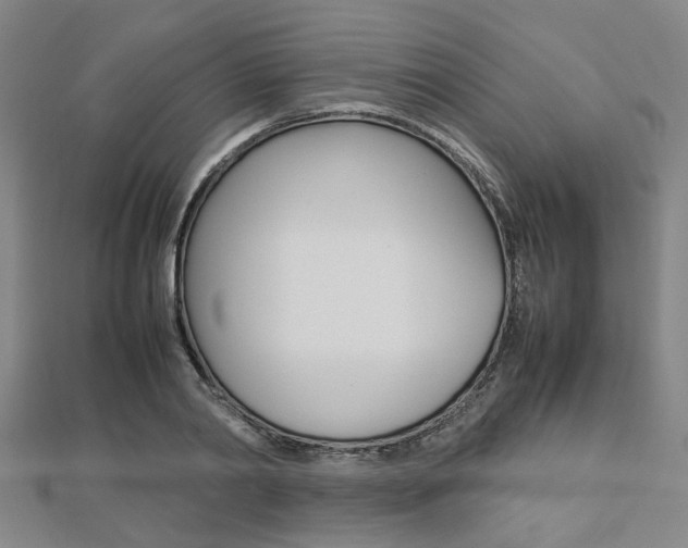 X0000112730790200908201012