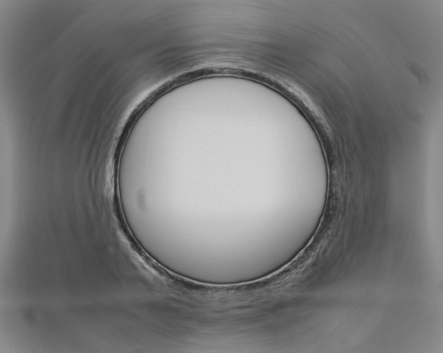 X0000112730791200908201012