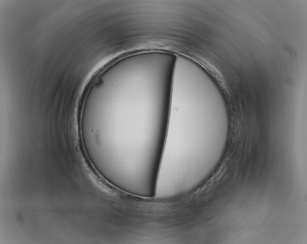 X0000112730792200908201012