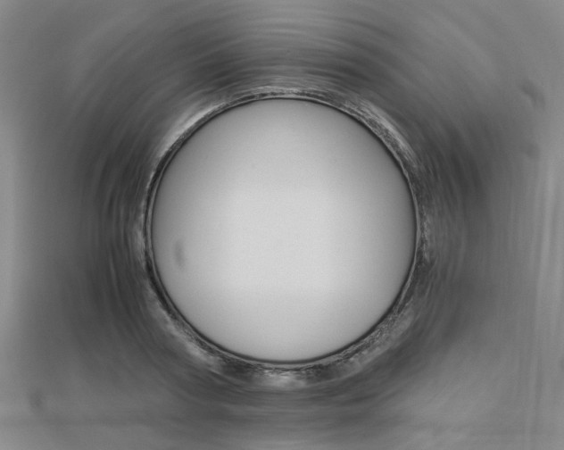 X0000112730794200908201012
