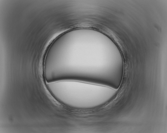 X0000112730795200908201012