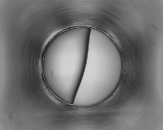 X0000112730796200908201012