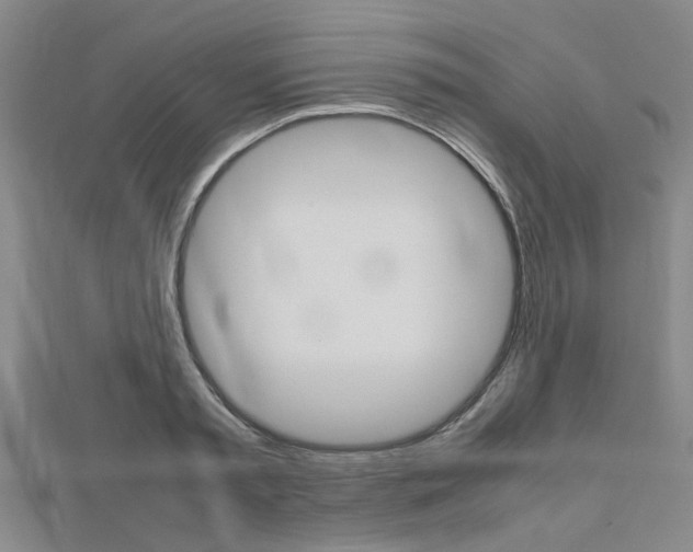 X0000112730797200908201012