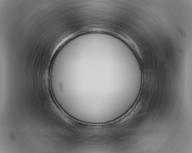 X0000112730798200908201012