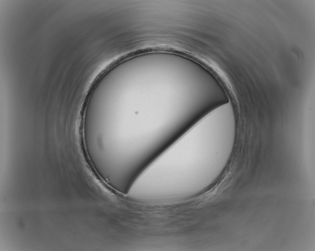 X0000112730799200908201012