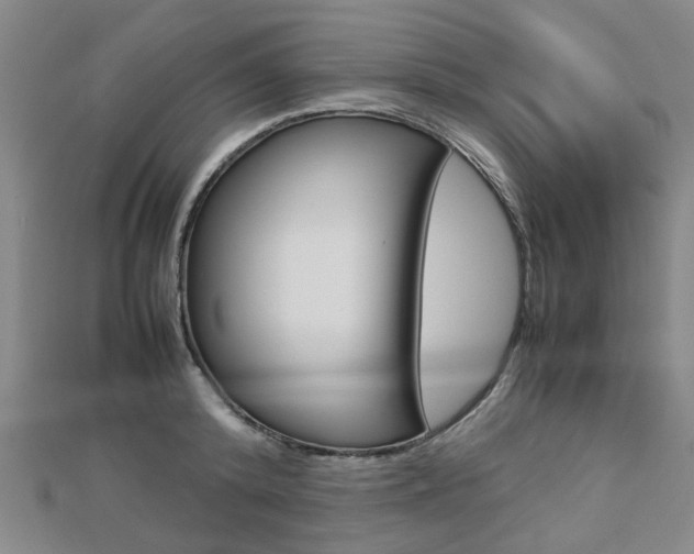 X0000112730800200908201012