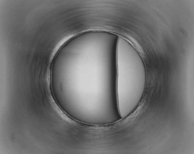 X0000112730804200908201012