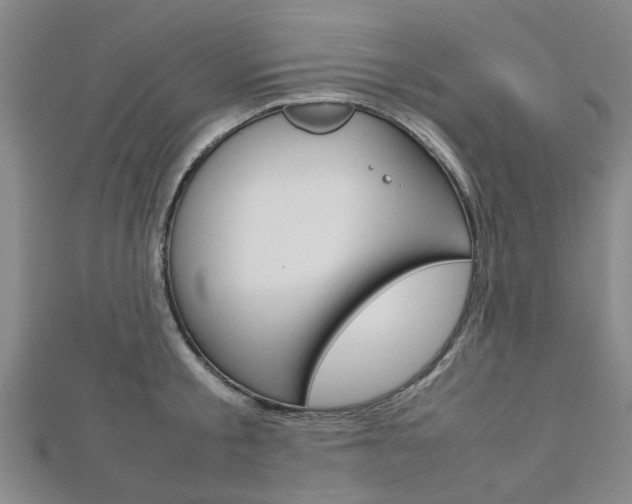 X0000112730805200908201012