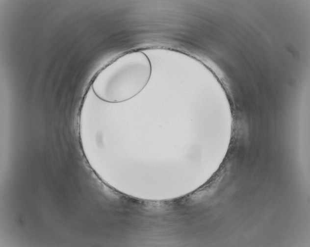 X0000112730807200908201012