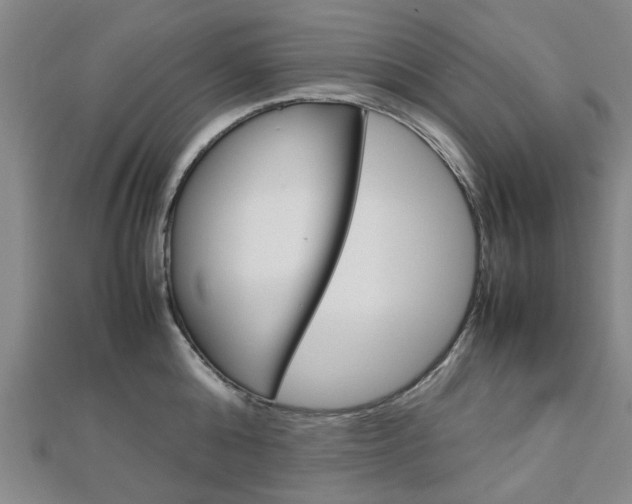 X0000112730808200908201012