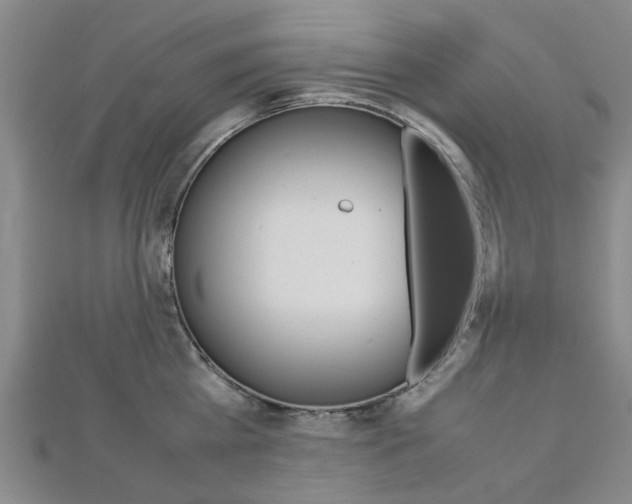 X0000112730809200908201012