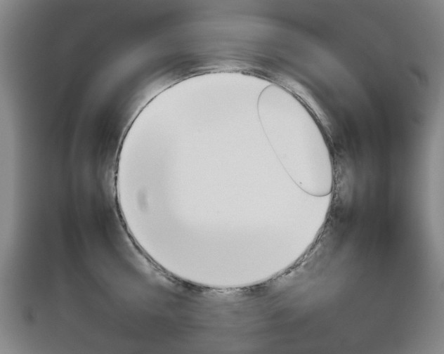 X0000112730810200908201012
