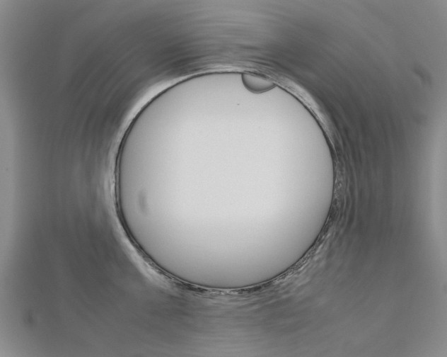 X0000112730811200908201012