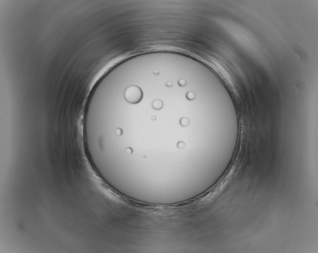 X0000112730814200908201012