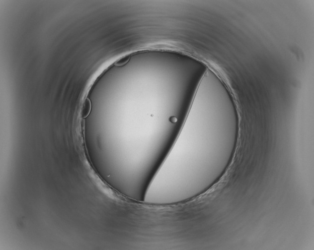 X0000112730816200908201012