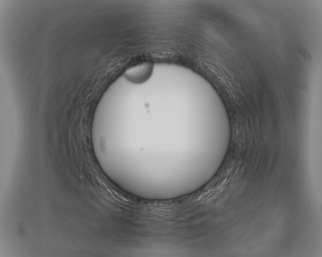 X0000112730817200908201011