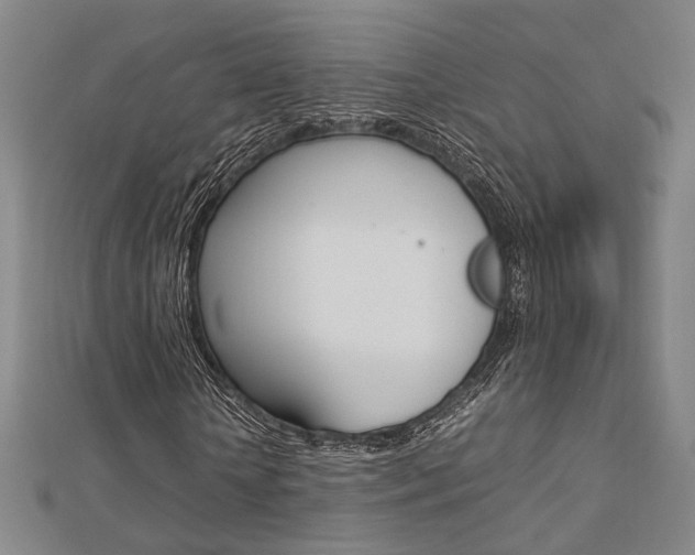 X0000112730818200908201011