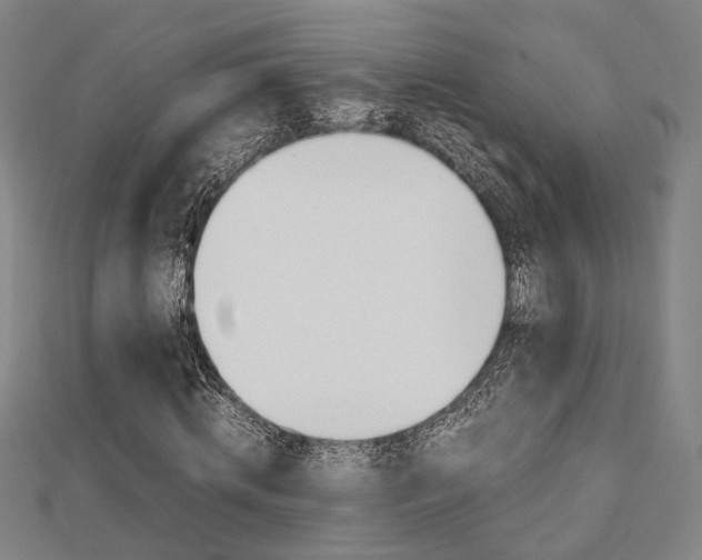 X0000112730820200908201011