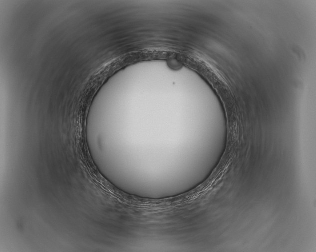 X0000112730821200908201011
