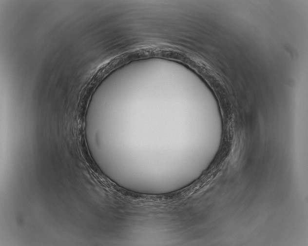 X0000112730822200908201011