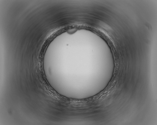 X0000112730823200908201011