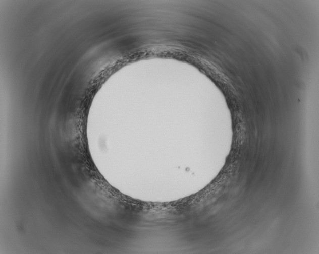 X0000112730824200908201011