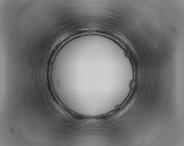 X0000112730826200908201011