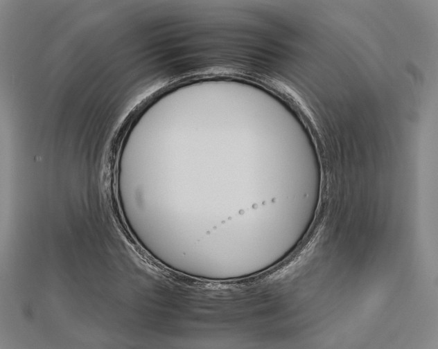 X0000112730827200908201011