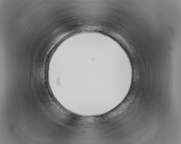 X0000112730828200908201011