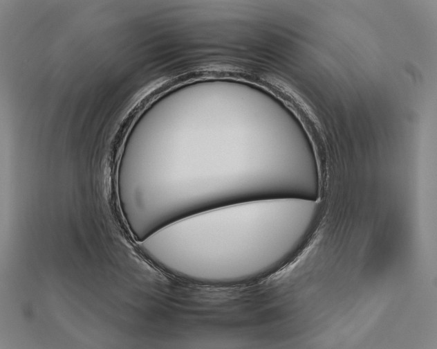 X0000112730829200908201011