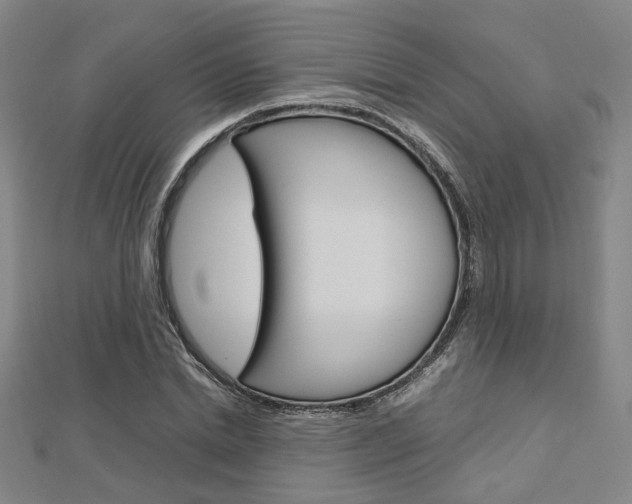 X0000112730830200908201011