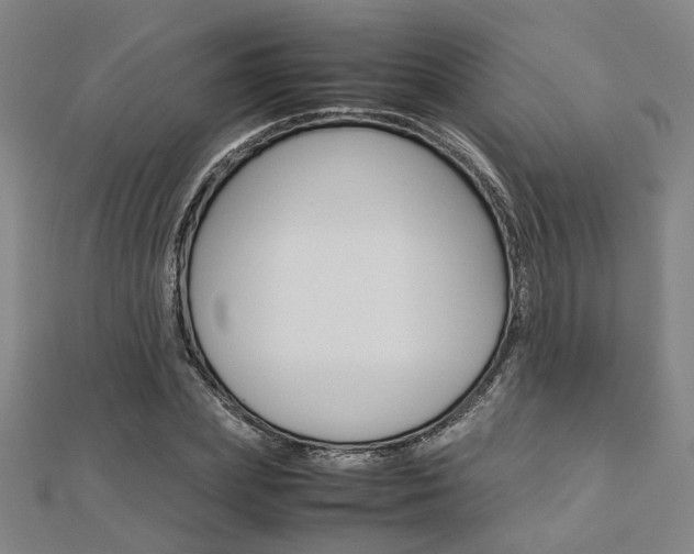 X0000112730831200908201011