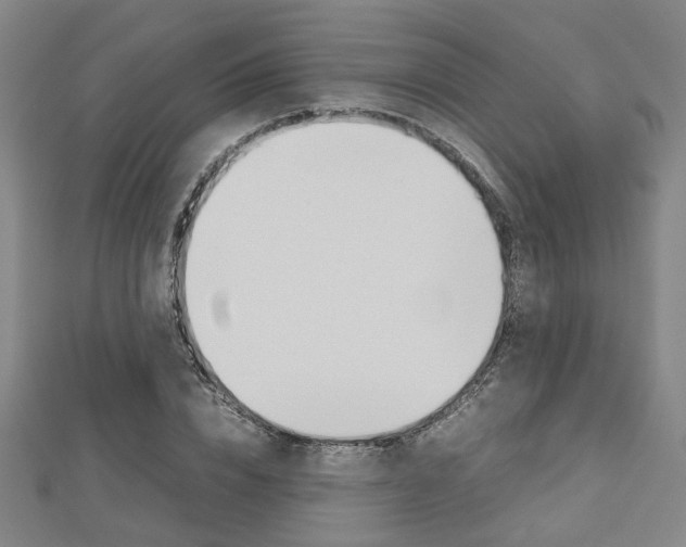X0000112730832200908201011