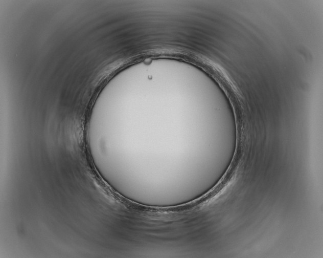 X0000112730833200908201011