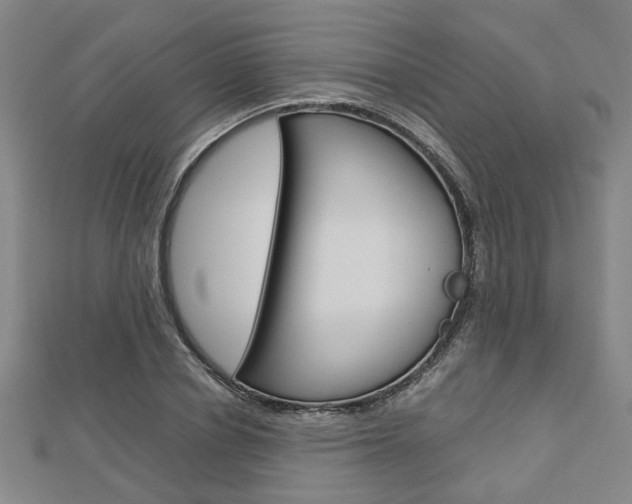 X0000112730834200908201011