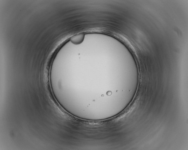 X0000112730835200908201011