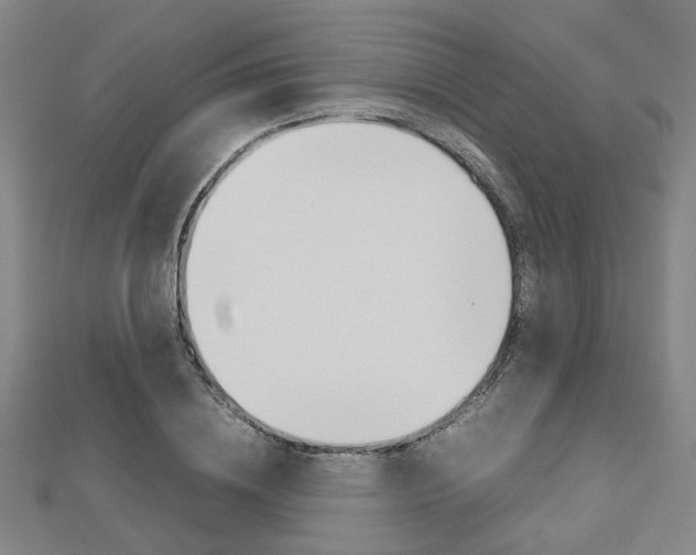 X0000112730836200908201011