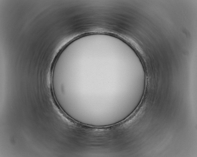 X0000112730839200908201011