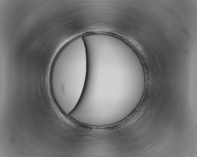 X0000112730840200908201011