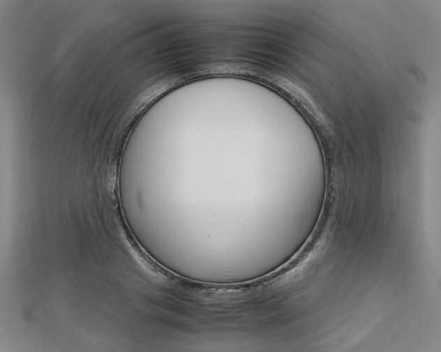 X0000112730841200908201011