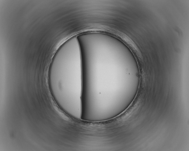 X0000112730842200908201011