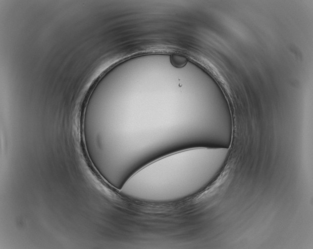 X0000112730843200908201011