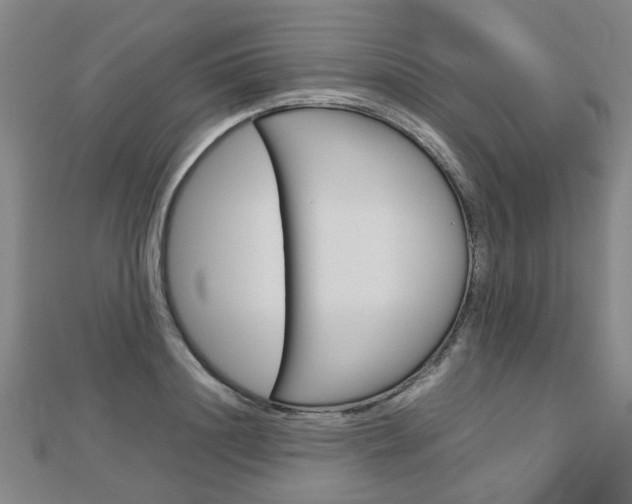 X0000112730844200908201011