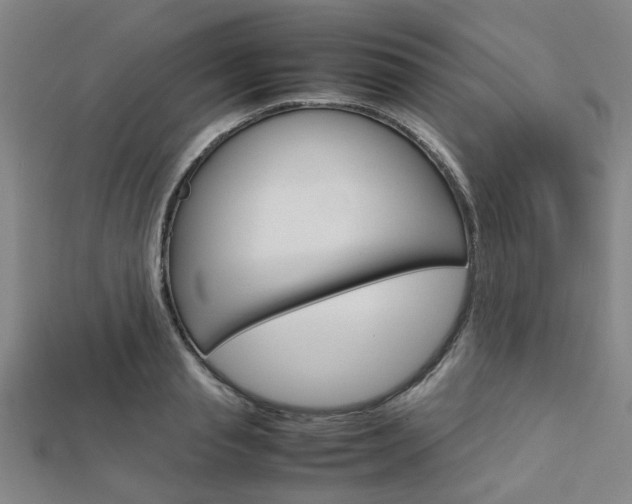 X0000112730845200908201011