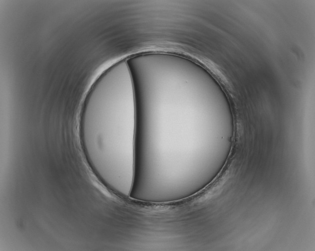 X0000112730846200908201011