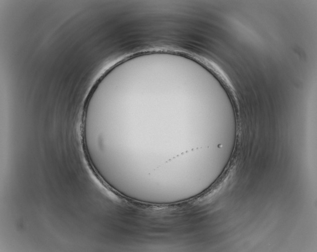 X0000112730847200908201011
